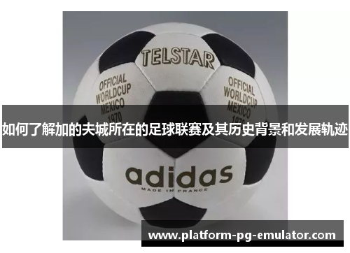 如何了解加的夫城所在的足球联赛及其历史背景和发展轨迹