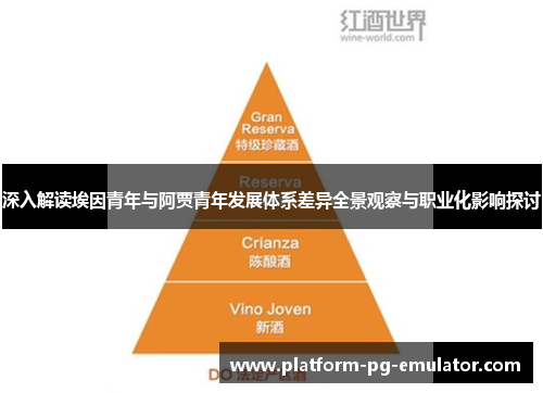 深入解读埃因青年与阿贾青年发展体系差异全景观察与职业化影响探讨 深入解读埃因青年与阿贾青年发展体系差异全景观察与职业化影响探讨
